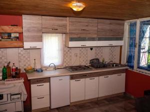 Kuchyň nebo kuchyňský kout v ubytování Dravski raj