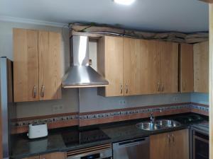 a kitchen with wooden cabinets and a stainless steel sink at Casa das Pozas 2 in Monforte de Lemos