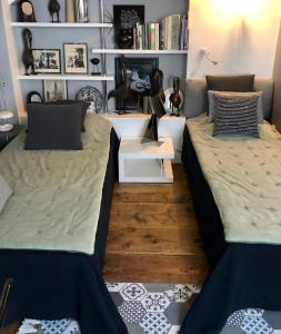 a room with two beds and a shelf with books at Quai 17 Maison d'hôtes in Strasbourg