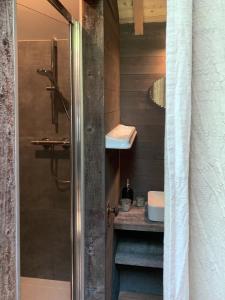 La salle de bains est pourvue d'une douche, d'un lavabo et de toilettes. dans l'établissement La Faironnière, à Hamoir