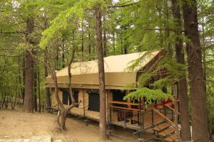 穆索里Everest Base Camp, Near George Everest House, 5kms from Library chowk的相册照片