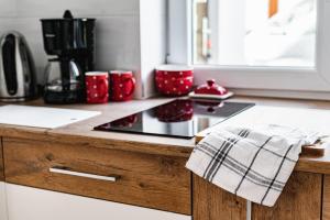 Kuchyňa alebo kuchynka v ubytovaní Apartament Dwie Doliny