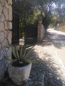 Gallery image of Olea Home in Agia Pelagia Chlomou