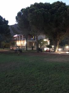 A garden outside Amalia Hotel