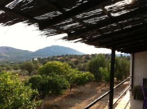 Fotografia z galérie ubytovania Cosy Calm Cottage in olive trees with sea view v destinácii Ermioni
