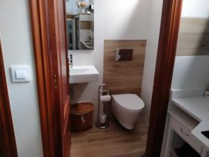 a small bathroom with a toilet and a sink at Vilavella alojamiento de época in Redondela