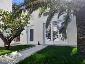 聖雷莫的住宿－Palms Luxury Suites Sanremo，一只猫坐在白色房子前面的一条人行道上