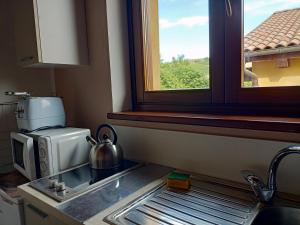 ノヴェッロにあるVite diPinte 1 bilocale in langaのキッチン(シンク、電子レンジ付)、窓が備わります。