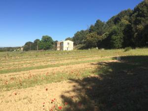 ein Feld voller roter Blumen vor einem Gebäude in der Unterkunft Chambre hôtes Les Garrigues CUCURON in Cucuron