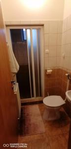 een badkamer met een toilet, een wastafel en een douche bij Vida vendégház in Hajdúszoboszló
