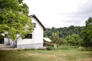 Zahrada ubytování House Narta - Rastoke