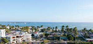 an aerial view of a beach with palm trees and buildings at Hostal Las Fragatas in Puerto Villamil