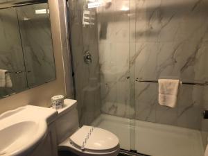 a bathroom with a shower and a toilet and a sink at Houston Motor Inn in Houston