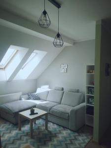 ein Wohnzimmer mit einem Sofa und einem Tisch in der Unterkunft Apartament Kaktus in Mrągowo