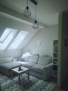 salon z kanapą i stołem w obiekcie Apartament Kaktus w mieście Mrągowo +1 zdjęcie