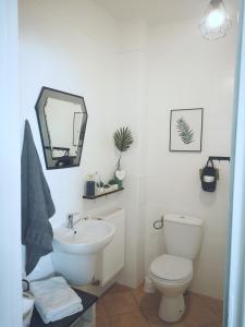 a bathroom with a sink and a toilet and a mirror at Apartament Kaktus in Mrągowo