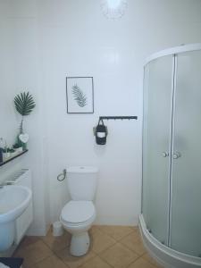a bathroom with a toilet and a glass shower at Apartament Kaktus in Mrągowo