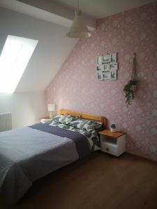 a bedroom with a bed and a pink wall at Apartament Kaktus in Mrągowo