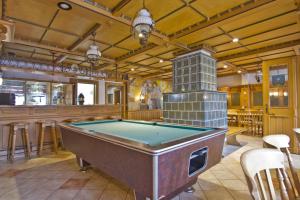 サガルトにあるF-1065 Brunnenaue Haus Terrasse, für Gruppen geeignetのバーのある部屋にあるビリヤード台