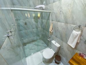 uma casa de banho com uma cabina de duche em vidro e um WC. em POUSADA ESTÂNCIA DAS CACHOEIRAS em Cunha