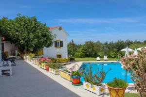 a swimming pool with potted plants next to a house at Quinta de Vale Escuro in Lousã