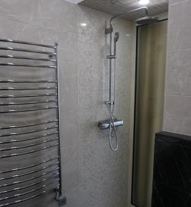 a shower with a glass door in a bathroom at Heart of Vilnius Apartment in Vilnius +12 photos