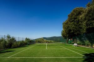 a tennis court with a net on a green field at La Pietra Del Cabreo in Greve in Chianti