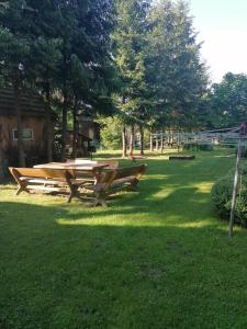 a picnic table in the grass in a park at Łemkowo Pokoje Gościnne in Lutowiska