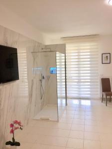 La salle de bains est pourvue d'une douche avec une porte en verre. dans l'établissement Il Glicine Luxury, à San Pietro al Tanagro