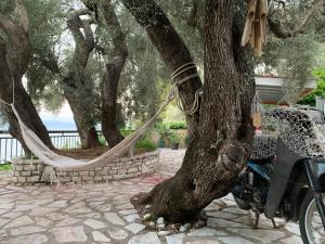 Gallery image of Ionian Melody in Nikiana