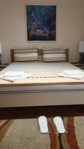 سرير أو أسرّة في غرفة في Milović apartmani