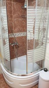 a shower with a glass door in a bathroom at Milović apartmani in Igalo