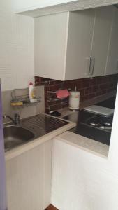 Kuchyň nebo kuchyňský kout v ubytování Milović apartmani