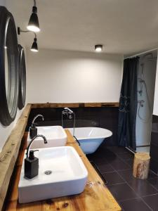 Et badeværelse på Forest Hill kuća za odmor na Zlataru