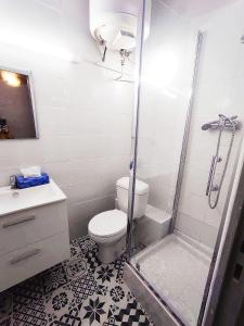 a bathroom with a shower and a toilet and a sink at joli studio dans maison niçoise in Nice