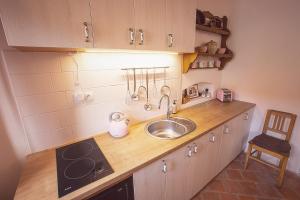 a kitchen with a sink and a counter top at U Svatého Petra in Kájov