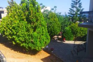 Zahrada ubytování House with Panoramic Sea View and Beautiful Garden