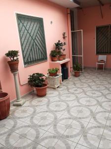 um quarto com vasos de plantas numa parede rosa em Casa Cesa em Selargius