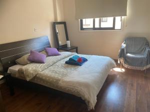 a bedroom with a bed with purple pillows and a mirror at Artemis Executive Suite in Larnaca