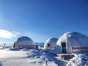 Glamping Pasieka Namiot Glamp Bukowina Tatrzańska - domki w górach v zimě
