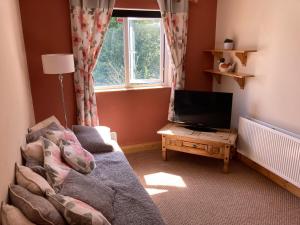 sala de estar con sofá y TV en little lodge, en Ballinamallard