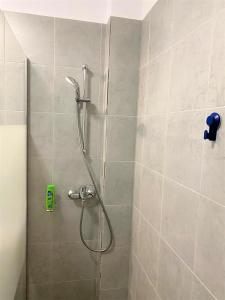 una doccia con soffione in un bagno di Central Old Town Studio a Bucarest