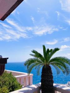 un palmier en face de l'océan dans l'établissement Incantesimo luxury penthouse, à Mimice