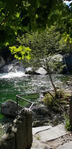 a small tree in the middle of a river at Casa Di Vacanza Cevio in Cevio