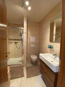 La salle de bains est pourvue d'une douche, de toilettes et d'un lavabo. dans l'établissement Family Apartment Tále, à Tale
