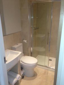 a white toilet sitting next to a shower in a bathroom at Creighton Hotel in Cluain Eois