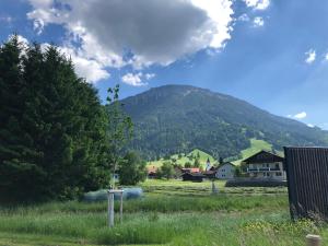 een veld met een berg op de achtergrond bij Landhaus „Divija Haus“ Ferienwohnung in Pfronten