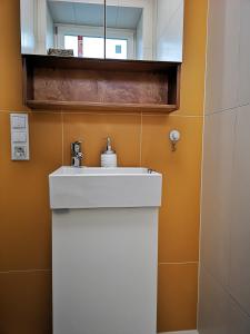W łazience znajduje się biała umywalka i lustro. w obiekcie Dióliget w mieście Óhid
