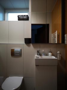 La salle de bains est pourvue d'un lavabo, de toilettes et d'un miroir. dans l'établissement Dióliget, à Óhid