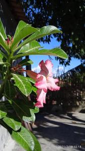 Ảnh trong thư viện ảnh của Casa Liria Gael - Kite Is Surf School ở Jericoacoara